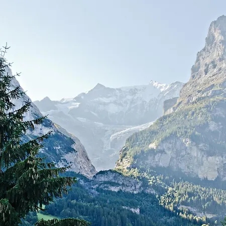 Felix - Griwa Rent Ag *